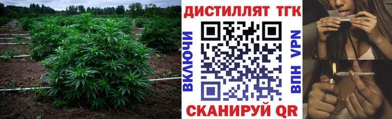 omg ТОР  Сорск  ТГК вейп 