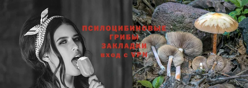 магазин    Сорск  ссылка на мегу как войти  Псилоцибиновые грибы Psilocybine cubensis 